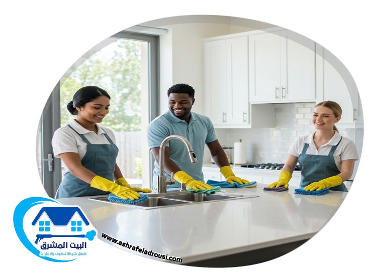 شركة تنظيف في نعمة