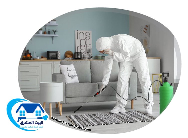 شركة تعقيم في عجمان