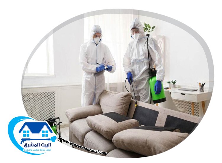 شركة تعقيم في عجمان