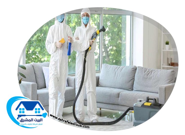 شركة تعقيم في عجمان