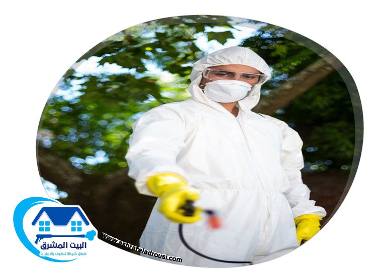 شركة تعقيم في ام القيوين