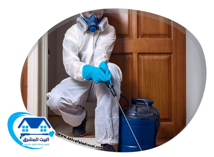 شركة تعقيم في ام القيوين