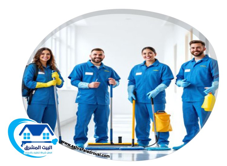 شركة تنظيف قصور