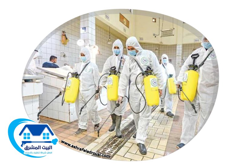 شركة تعقيم في عجمان