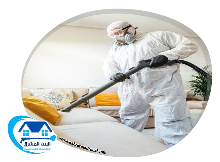 شركة مكافحة حشرات في عجمان