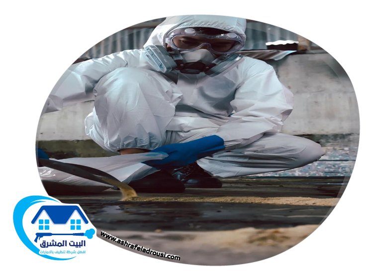 شركة مكافحة حشرات في الفجيرة