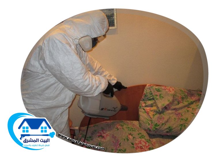شركة مكافحة حشرات في الفجيرة