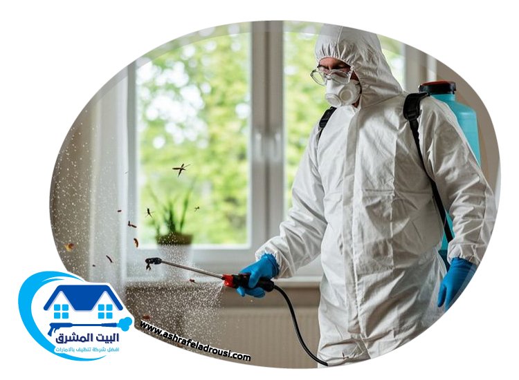 شركة مكافحة حشرات في راس الخيمة