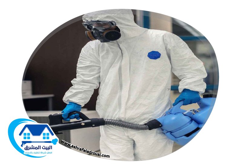 شركة مكافحة حشرات في راس الخيمة