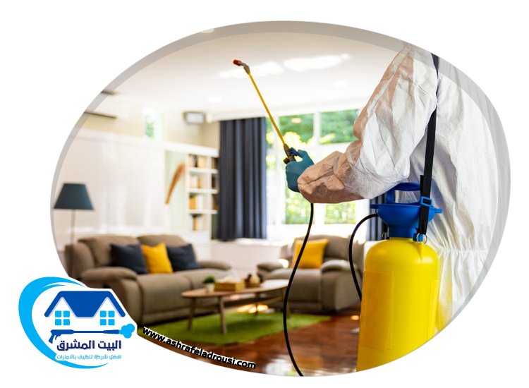 شركة مكافحة بق الفراش في راس الخيمة