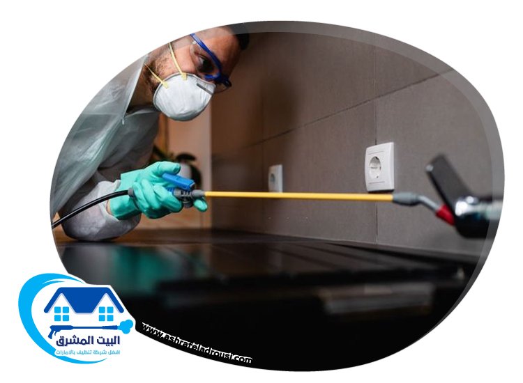 شركة مكافحة بق الفراش في الفجيرة