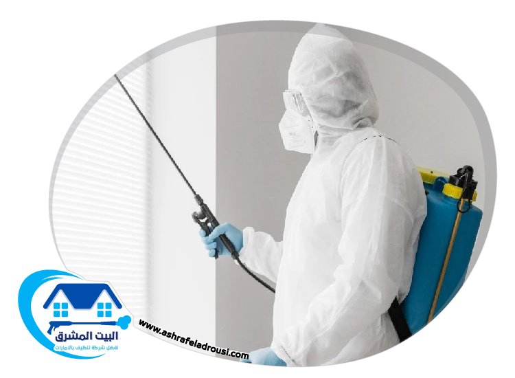 شركة مكافحة بق الفراش في الفجيرة
