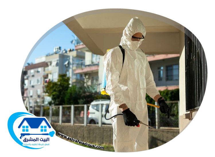 شركة مكافحة الصراصير في الامارات