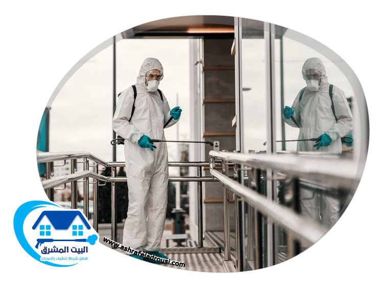 شركة مكافحة الصراصير في الامارات