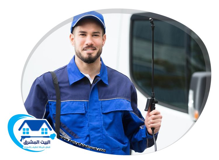 شركة مكافحة بق الفراش في دبي