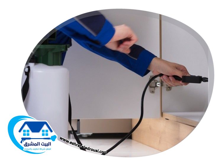 شركة مكافحة بق الفراش في دبي