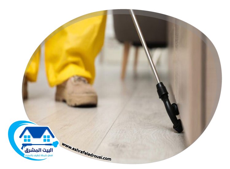 شركة مكافحة بق الفراش في دبي