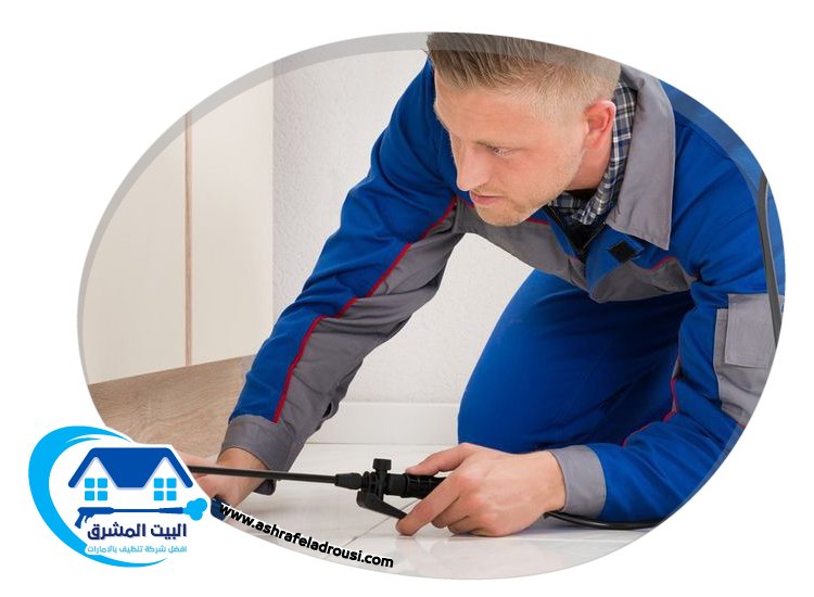 شركة مكافحة الصراصير في الامارات