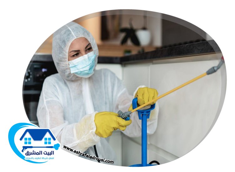 شركة مكافحة الصراصير في راس الخيمة
