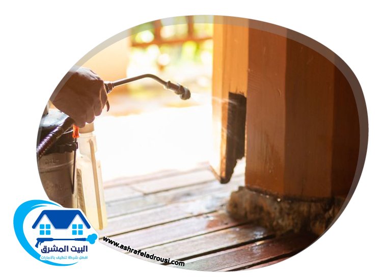 شركة مكافحة الصراصير في راس الخيمة