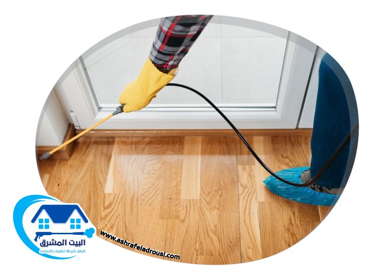 شركة مكافحة الصراصير في راس الخيمة