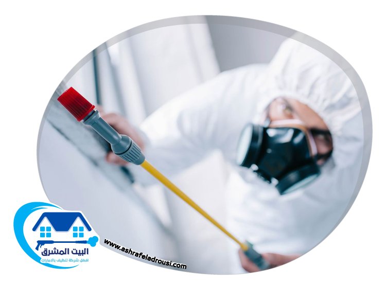 شركة مكافحة الصراصير في راس الخيمة
