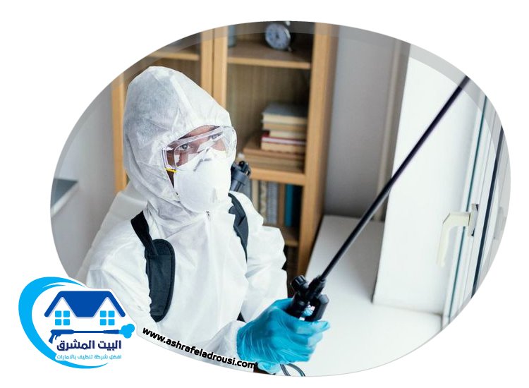 شركة مكافحة الصراصير في الفجيرة