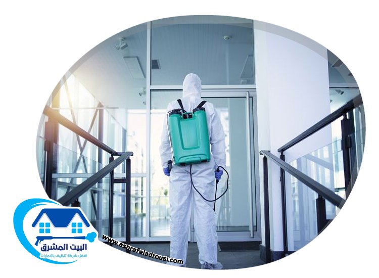شركة مكافحة الصراصير في الفجيرة