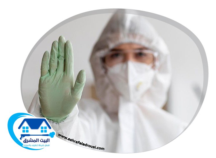 شركة مكافحة الصراصير في الفجيرة