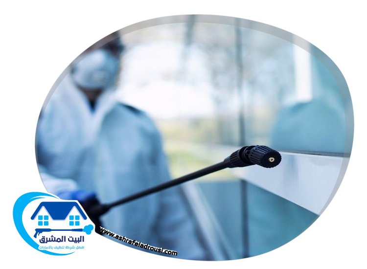 شركة مكافحة الصراصير في عجمان