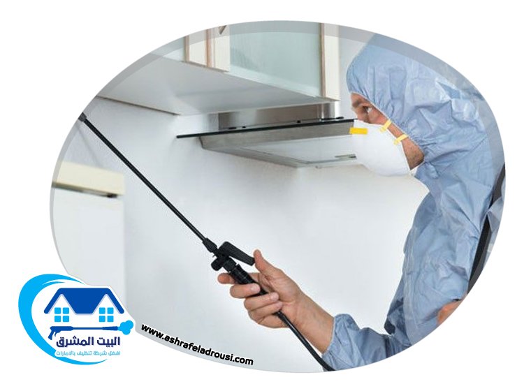 شركة مكافحة الصراصير في عجمان