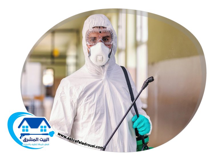 شركة مكافحة الصراصير في الشارقة