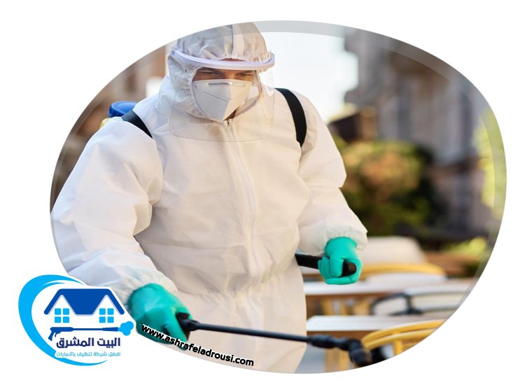 شركة مكافحة الصراصير في الشارقة