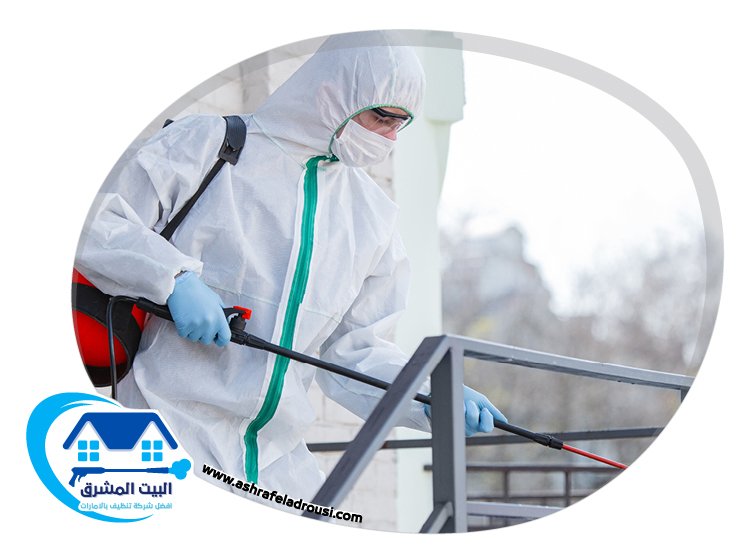 شركة مكافحة الصراصير في الشارقة