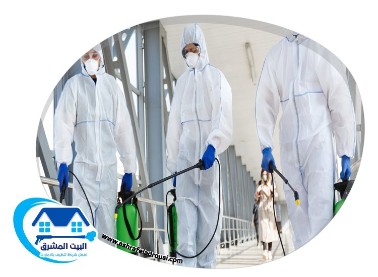 شركة مكافحة الصراصير في الشارقة