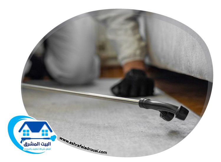 شركة مكافحة الرمة في راس الخيمة