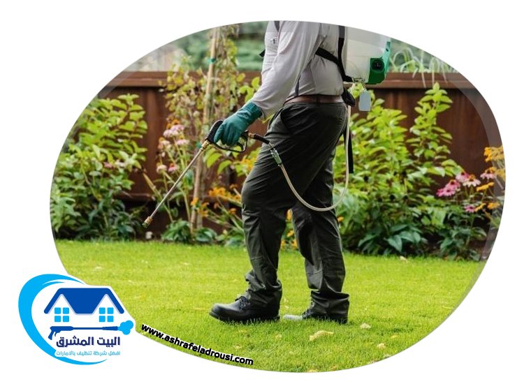 شركة مكافحة الرمة في الفجيرة