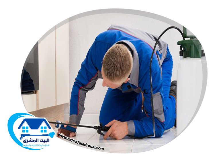 شركة مكافحة الرمة في عجمان