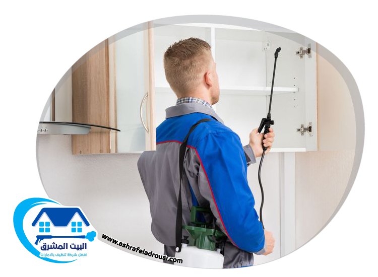شركة مكافحة الرمة في عجمان