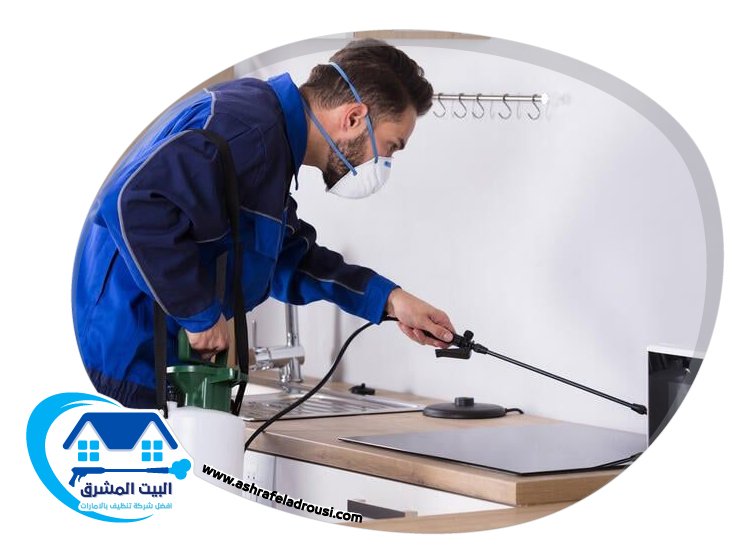 شركة مكافحة الرمة في عجمان
