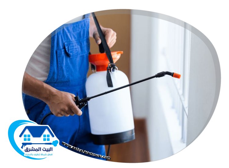 شركة مكافحة الرمة في دبي