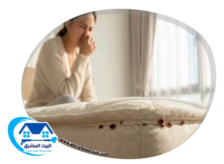 شركة مكافحة بق الفراش في ام القيوين