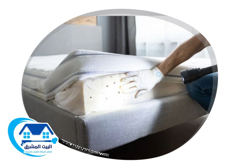 شركة مكافحة بق الفراش في الامارات