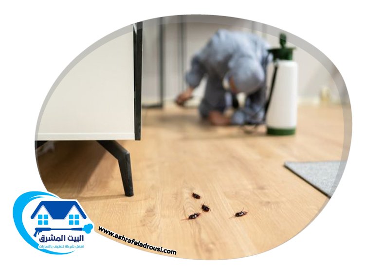 شركة مكافحة الرمة في السهول