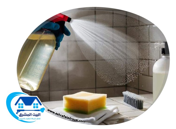 شركة تنظيف حمامات في الفجيرة